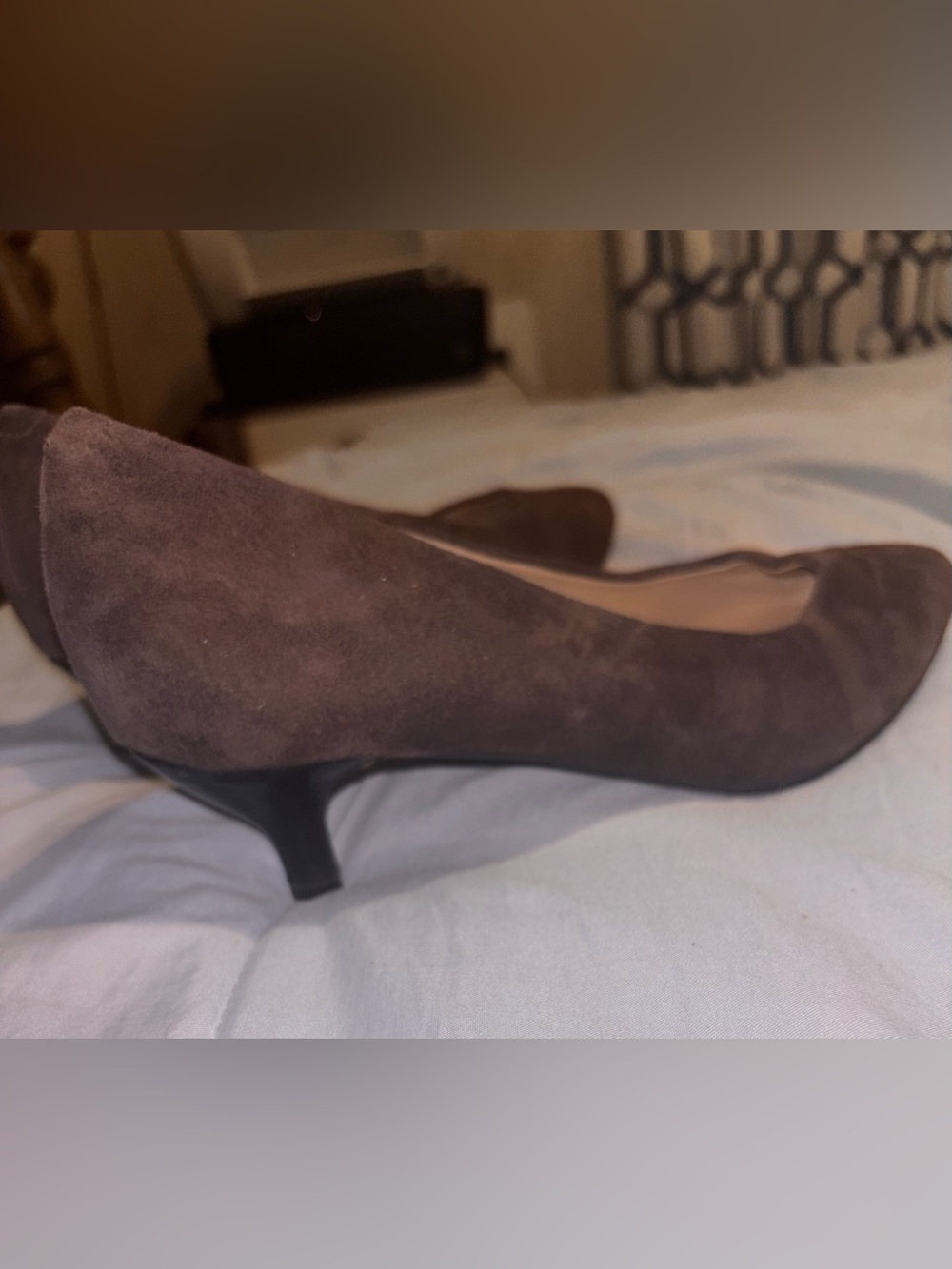 Trotters Brown Suede Low Kitten Heel Pumps - Picture 11 of 13